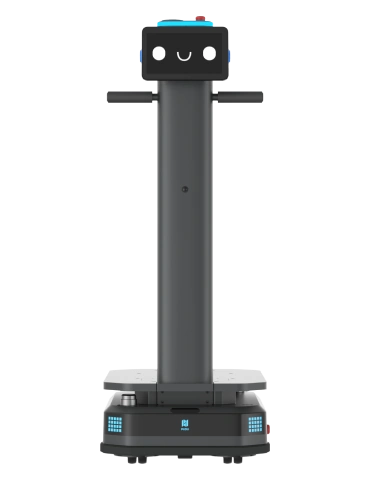 Industrial transport robot